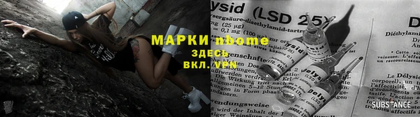 амф Майский