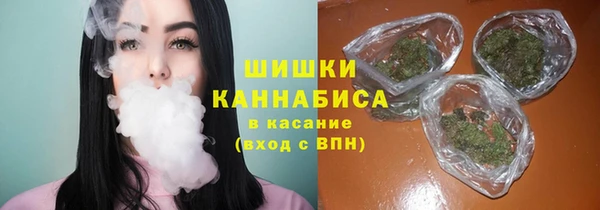 амф Майский