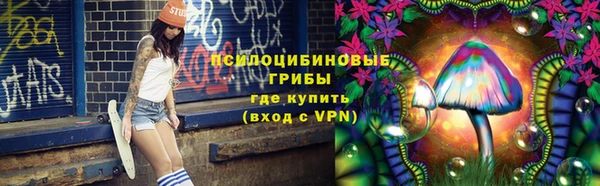 СК Магадан