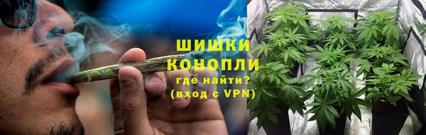 дживик Магас