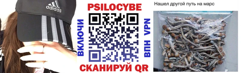 Псилоцибиновые грибы мицелий  Купить закладки  Реж 